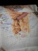 20201127_175645.thumb.jpg.0c83029be26b7f45439ec7e091baab50.jpg