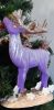 20201226_161432.thumb.jpg.7bc0d183a7012ffb0fb87d430de21878.jpg