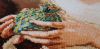 20201231_104924.thumb.jpg.fef5fb91f8bdbd8ab3d44811ec8fd8be.jpg