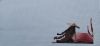 20210102_103337.thumb.jpg.bc20d3e42c703995b0bf8d68ae0d1364.jpg