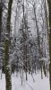 20210102_142137.thumb.jpg.0ed5479631b994a17a7c6691d3ec5b07.jpg