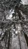 20210102_142225.thumb.jpg.d5ab41df37dd110ed51fcb8e79df8b53.jpg