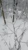 20210102_144306.thumb.jpg.a515e3f58715e9c5966c610b3af473de.jpg