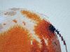 20210103_124506.thumb.jpg.199a1b5dd5dee9fc08c3408656e281d6.jpg