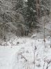 20210105_130403.thumb.jpg.f3a6963b910cb0ab79eb56410a2470e1.jpg