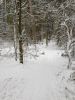 20210105_132954.thumb.jpg.fef23ecb76546d5dc435dd87a0459e40.jpg