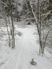 20210105_133844.thumb.jpg.afddcce6968baf680878f3e1fb9f5120.jpg