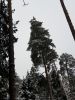 20210105_135353.thumb.jpg.708a31601b0e42182793f0d05371e872.jpg