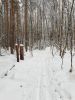 20210105_141257.thumb.jpg.9915805dfdcb390d0632cb7fe7885aa0.jpg