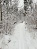20210105_142504.thumb.jpg.1532daf1d97ec1ad4a5682a5d4dbdb5d.jpg