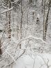 20210105_142515.thumb.jpg.a3fba5f01e496dcdafe80c831c092e01.jpg