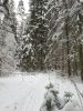 20210107_141032.thumb.jpg.eb9b9304ebe98cf67906034bef9554f8.jpg
