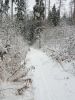 20210107_142653.thumb.jpg.8752bf9fa2af51cbcd6caef21a13d778.jpg