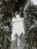 20210107_144507.thumb.jpg.dfd95ba91d95d1ce9a5bb91808c1b82e.jpg