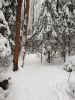 20210107_145229.thumb.jpg.f4ecf01da61c3244ee5dfd812dc8de96.jpg