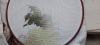 20210109_111735.jpg
