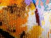 20210109_132701.thumb.jpg.08a1cb8c6187a557a452e98abfdef10b.jpg