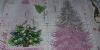 20210112_094800.thumb.jpg.02ecbb3df127734559e44ee1bbb0fb06.jpg?1610436159285