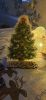 20210117_022310.thumb.jpg.bef47449cb94381d48b1e860c28ad398.jpg