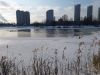 20210117_134638.thumb.jpg.f1e6157ccd6aa3f74ca4c4743a34341a.jpg