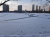 20210117_134934.thumb.jpg.ac68e15dfc04e750888ce04ec777fcff.jpg