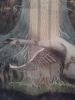 20210124_235626.thumb.jpg.398e7a69c9e70ab1fbb513d7509593dd.jpg