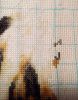 2052686025_2021-01-1610-53-49.thumb.JPG.ce50b546f28417b469c8d075344eab5a.JPG