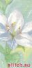 28491.thumb.jpg.d9f80caafd8c788e4bad72f607c11a8e.jpg