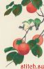 47562.thumb.jpg.30598fcc6981fa53b6ffe769adabdf82.jpg
