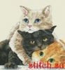 47746.thumb.jpg.fa58a00ddce7c30d80e2fadaf4f4c9f6.jpg