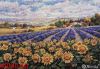 Мережка К-179, Fields of Lavender and Sun