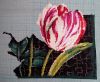 71578387_78_Dim_Tulipdrama_9_04_01_2021.JPG.524f7f5e2a8f0949c8721c5cbd454133.JPG