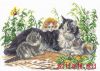 A24AB265-5EA3-40D1-A190-D73716D4E54D.thumb.jpeg.cddda5338e4cd1037206e34cae9c2ed1.jpeg
