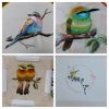 DSC07204-COLLAGE.thumb.jpg.a194d23a5f7c56243550148b8394b8d1.jpg