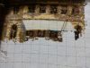 DSC07558.thumb.JPG.b987b014daf862f8a530c22e2f993693.JPG