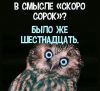 DzMWVYbXcAAvNSi.thumb.jpg.2c5f3bed82dad73e29331e552a22c693.jpg