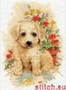 FB7826E3-13FB-465C-BA29-F9012356F2E5.thumb.jpeg.90bd60d7972a5be495dde87e147abc8c.jpeg