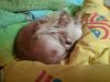 IMG-20180608-WA0015.jpg