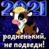 IMG-20210101-WA0018.thumb.jpg.57fdf3312b6e4541cd955ddd24d3e6c5.jpg