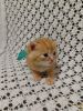 IMG-20210106-WA0002.thumb.jpg.8082d0c0fbb256dab569b775abda81b0.jpg