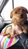 IMG-20210109-WA0004.thumb.jpg.63ec72bafaabfb771f13cb27b6ea559e.jpg