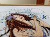 IMG_20190129_193157_1.thumb.jpg.cb2aa4c160af84431adc9f2af8a7d6a8.jpg