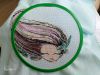 IMG_20190602_171343.thumb.jpg.f48fadf7c23dbbb8b580d48538be604b.jpg