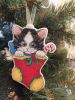 IMG_20201212_140246.jpg
