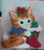 IMG_20201226_224952.jpg