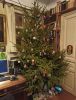 IMG_20201231_191730.thumb.jpg.1032c785be20b14b1734f3ce16000518.jpg