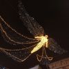 IMG_20201231_214803.thumb.jpg.88deb2ac11634bef8c6872a4088ed4f9.jpg