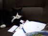 IMG_20210102_015439.thumb.jpg.f0d143d166bc1efc920b677e8274ef26.jpg