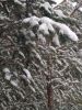 IMG_20210103_125925.thumb.jpg.cfb46a16bc37f3f9fb32b69f384d7d09.jpg