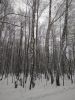 IMG_20210103_130240.thumb.jpg.915c99e8eebc498a45ea572dd1d5cf97.jpg